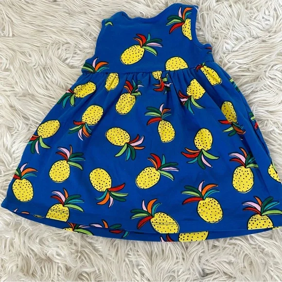 Hanna Andersson Rainbow Pineapple Blue Dress 3T - Picture 6 of 6